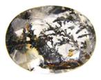 Dendritic Quartz